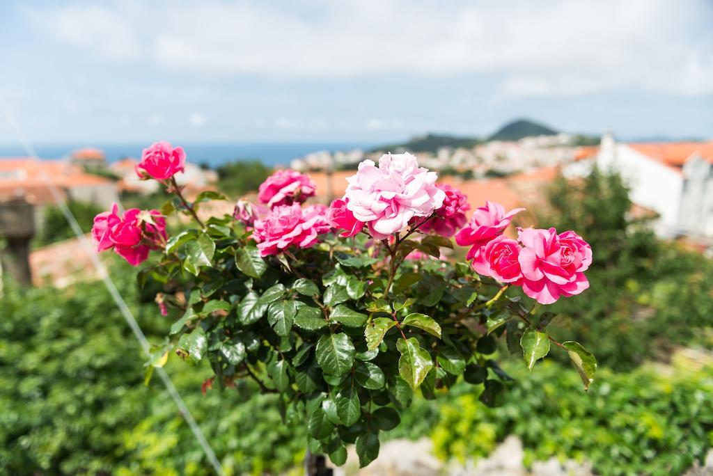 House Verde - Private House With Seaview Dubrovnik Zimmer foto